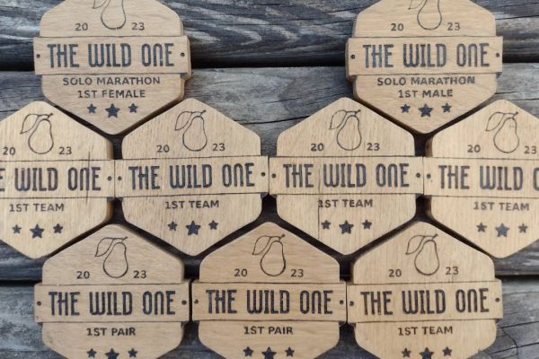 Wild One 2023