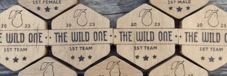Wild One 2023